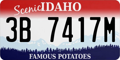 ID license plate 3B7417M