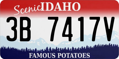 ID license plate 3B7417V