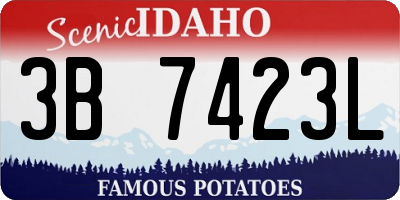 ID license plate 3B7423L