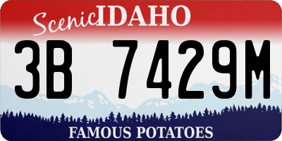 ID license plate 3B7429M