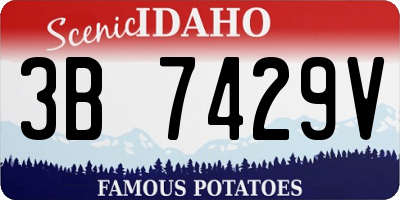 ID license plate 3B7429V