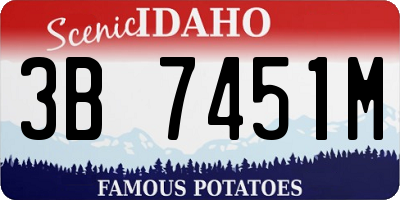 ID license plate 3B7451M