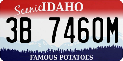 ID license plate 3B7460M