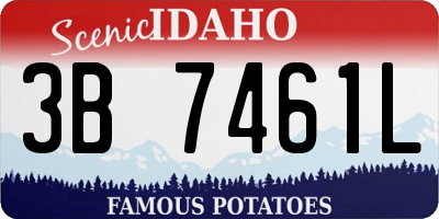 ID license plate 3B7461L