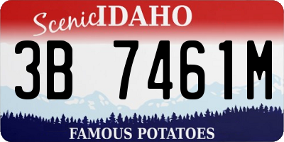ID license plate 3B7461M