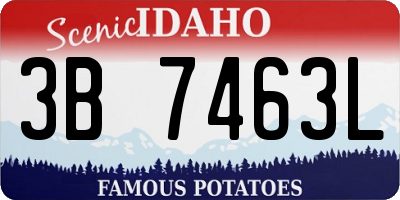 ID license plate 3B7463L