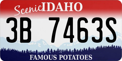 ID license plate 3B7463S