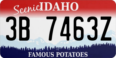 ID license plate 3B7463Z