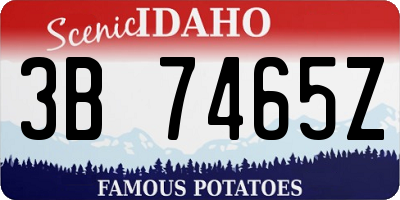 ID license plate 3B7465Z