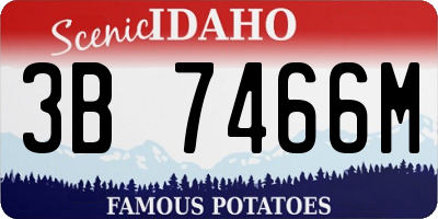 ID license plate 3B7466M