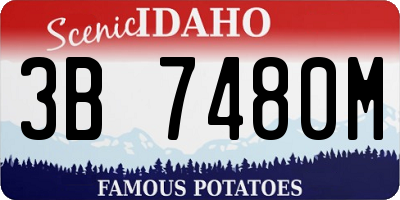 ID license plate 3B7480M