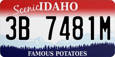 ID license plate 3B7481M