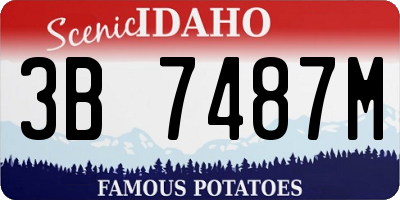 ID license plate 3B7487M