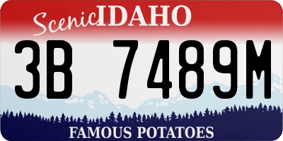 ID license plate 3B7489M