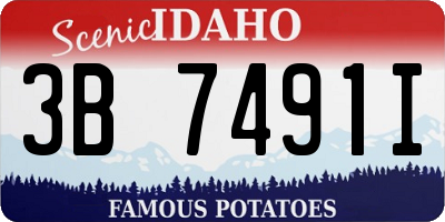 ID license plate 3B7491I