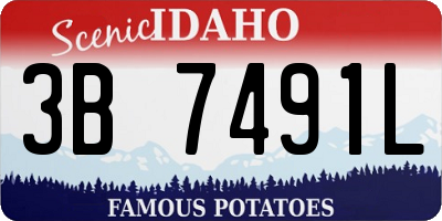 ID license plate 3B7491L