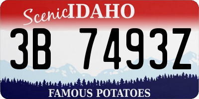 ID license plate 3B7493Z