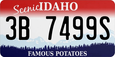 ID license plate 3B7499S