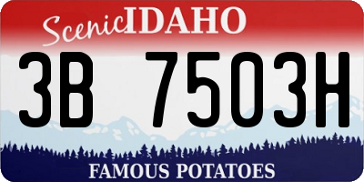 ID license plate 3B7503H