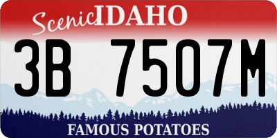 ID license plate 3B7507M