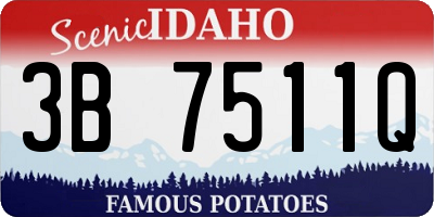 ID license plate 3B7511Q