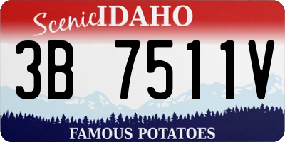 ID license plate 3B7511V