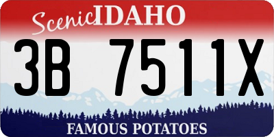 ID license plate 3B7511X