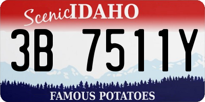 ID license plate 3B7511Y