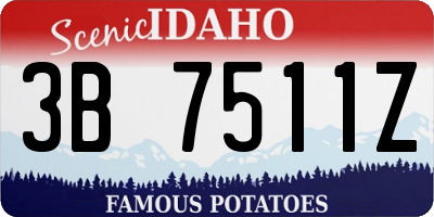 ID license plate 3B7511Z