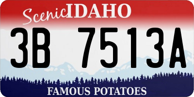 ID license plate 3B7513A