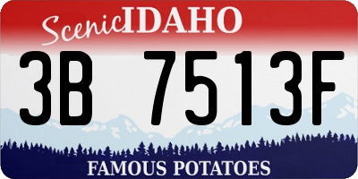 ID license plate 3B7513F