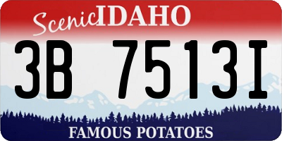 ID license plate 3B7513I