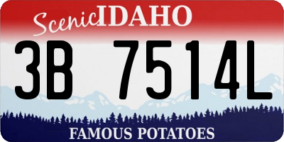 ID license plate 3B7514L