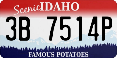 ID license plate 3B7514P