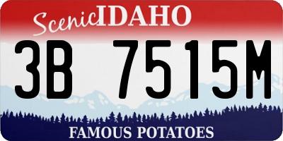 ID license plate 3B7515M