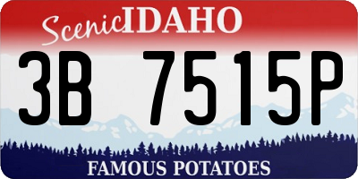 ID license plate 3B7515P