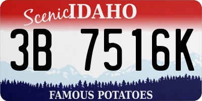 ID license plate 3B7516K