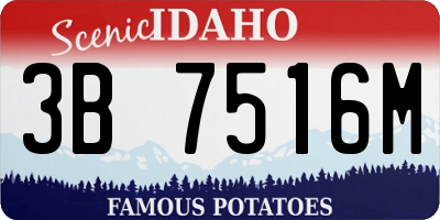ID license plate 3B7516M