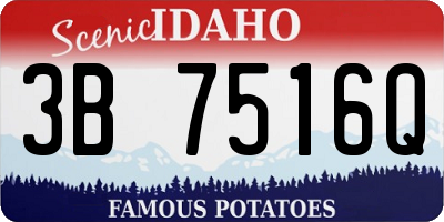 ID license plate 3B7516Q
