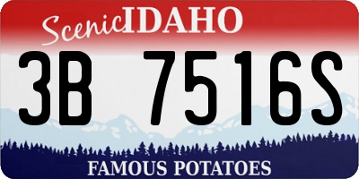 ID license plate 3B7516S