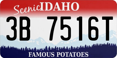 ID license plate 3B7516T