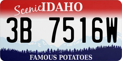 ID license plate 3B7516W