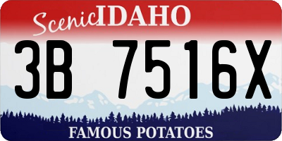ID license plate 3B7516X