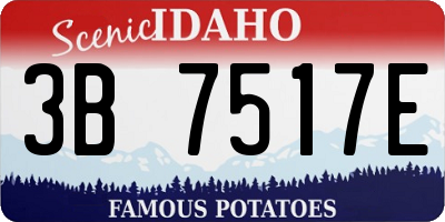 ID license plate 3B7517E