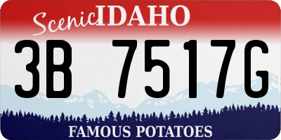 ID license plate 3B7517G