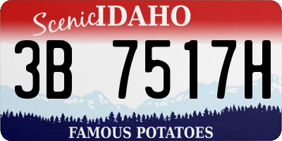 ID license plate 3B7517H