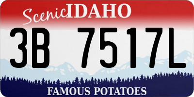 ID license plate 3B7517L
