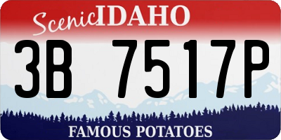 ID license plate 3B7517P