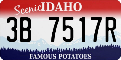 ID license plate 3B7517R