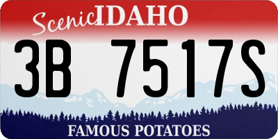 ID license plate 3B7517S